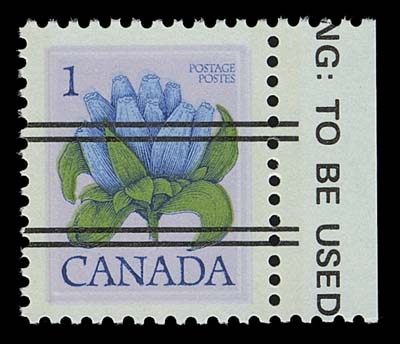 CANADA  705a,Mint single of the printed on gummed side error, precancelled (not known otherwise) and one of only 16 known examples, showing portion of Warning "strip" inscription in right margin. A rare and key error of the 1977-1982 Floral definitive series, VF NH