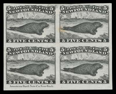 NEWFOUNDLAND  25Piv variety,Plate proof block of four printed in black (as the reissue of 1868) on india paper showing full ABNC imprint in bottom sheet margin; trivial flaws, scarce and underrated especially as a block, VF