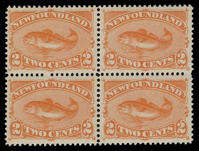 NEWFOUNDLAND  48b,A post office fresh mint block with exceptionally bright colour, the nicest one can hope to find on this stamp, very well centered with full pristine original gum, choice and VF-XF NH
