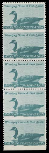 CANADA WILDLIFE STAMPS (PROVINCIAL)  MW1a,A well centered mint vertical strip of five, imperforate horizontally between top and second pairs, highly unusual to have two imperforate varieties in different rows of the same sheet, VF NH (Van Dam cat. $1,100+)
