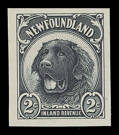 NEWFOUNDLAND REVENUES  Walsh RTE1a,Engraved plate essay, printed in bluish black on bond paper, unissued, VF