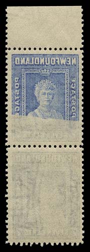NEWFOUNDLAND  253variety / 266i,Four different multiples showing full and / or partial reverse offset images on the gum side, includes 1c vertical strip of three, 7c (unlisted) vertical pair, 20c block and 48c vertical pair. A striking group, F-VF NH