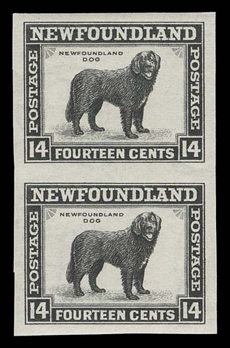 NEWFOUNDLAND  261a,Mint imperforate pair, large margined, VF NH