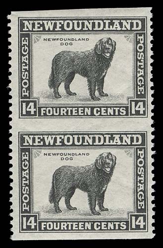 NEWFOUNDLAND  261c,A well centered mint vertical pair, imperforate horizontally, F-VF NH
