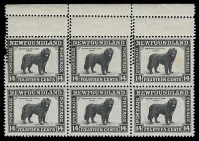 NEWFOUNDLAND  194 variety,A nicely centered mint block of six showing a rare double perforation error at top; small spot on top right stamp, striking and unusual, VF NH