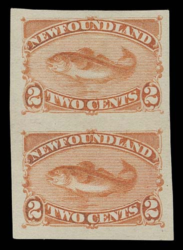 NEWFOUNDLAND  48a,A large margined imperforate pair, ungummed as issued, scarce and under catalogued in our view, VF+