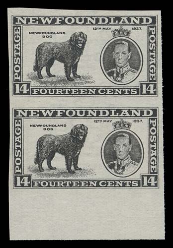 NEWFOUNDLAND  238a,Select imperforate pair, sheet margin at foot and ungummed as issued, VF