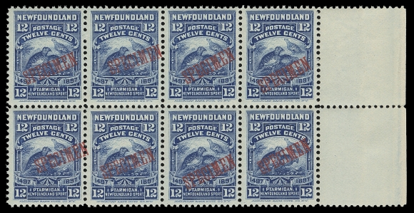 NEWFOUNDLAND 61-74,The complete set of fourteen mint blocks of eight with diagonal SPECIMEN overprints in red, a spectacular sheet marginal set with bright colours and full original gum; THE LARGEST SURVIVING MULTIPLES, F-VF NH (Unitrade cat. $12,000+), ex American Bank Note Company Archives
Interestingly enough, the left pair of the 12c block shows a DOUBLE SPECIMEN error (one being albino) with the embossing of both overprints clearly visible from the back.