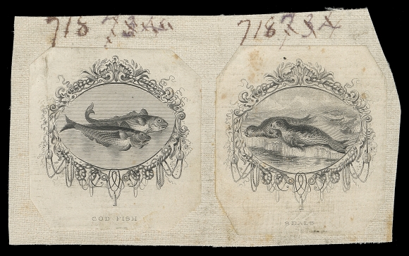 NEWFOUNDLAND  Unadopted design essays for the intended 1865 2c & 5c issues; quite likely engraved by C.H. Jeens who submitted the accepted designs to Perkins Bacon & Co. London. Each with elaborated scroll around oval vignettes, COD FISH and SEALS imprint below; affixed on canvas with archival ink annotation at top, slight foxing of no importance for this beautiful and striking item, F-VF