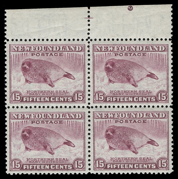 NEWFOUNDLAND  262 variety,Top centre mint block in a very distinctive aniline type ink variety - an experiment by Waterlow & Sons that proved unsatisfactory due to a blotchy, blurry print. Natural gum crease on left pair of no importance for this very scarce block. With K. Bileski notes and normal block for comparison, VF NH (Walsh 245b)
