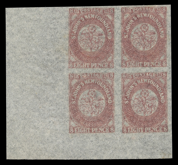 NEWFOUNDLAND  23,A choice mint lower left corner block with radiant colour and full original gum, VF NH