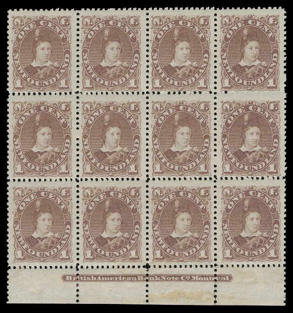 NEWFOUNDLAND  41,A rare mint plate block from the first printing, displaying characteristic colour and white dull streaky original gum, showing full BABN imprint, lower row quite well centered. Hinged only in the margin leaving all stamps NH. An attractive plate multiple that really stands out, F-VF 