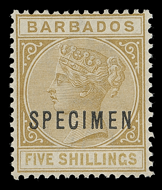 BARBADOS  68,A fresh mint single with SPECIMEN (Samuel Type D12 - 14.5 x 2.5mm) overprint in black, faint trace of a hinge, VF (SG 103s)