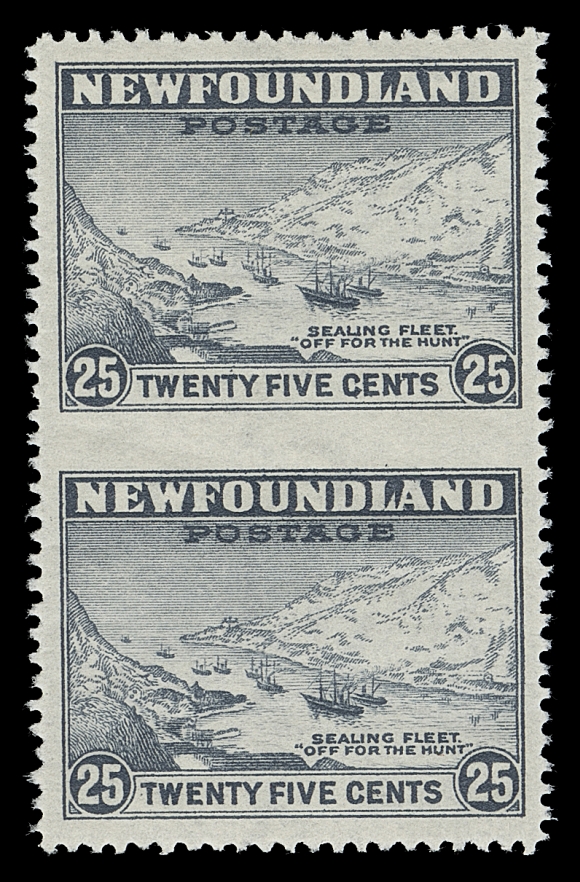 NEWFOUNDLAND  197c,Mint vertical pair imperforate horizontally between, fresh and  choice, scarce, VF NH