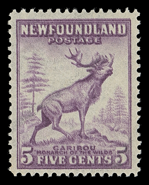 NEWFOUNDLAND  257c,A well centered mint single showing the double impression variety, VF NH