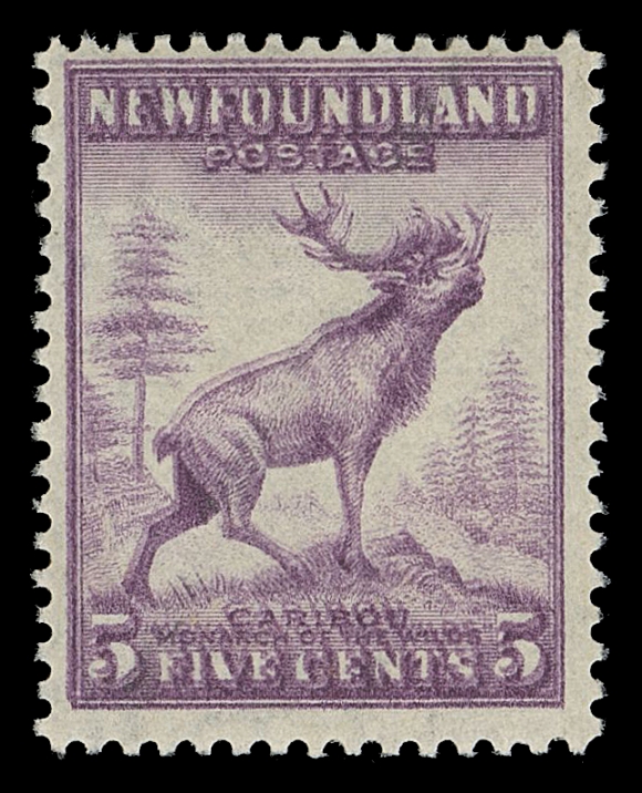 THE AFAB COLLECTION - NEWFOUNDLAND 1897-1947 ISSUES  257c,An attractive mint example of the dramatic DOUBLE IMPRESSION error, light gum bend; the doubling is noticeably more prominent than most of the known examples, F-VF NH