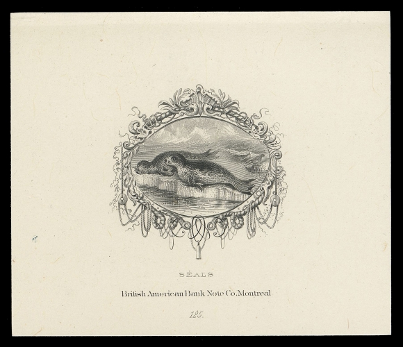 THE AFAB COLLECTION - NEWFOUNDLAND DECIMAL ISSUES Engraved Die Essay with intricate surrounds of fish nets and ropes, printed directly on white surfaced card 72 x 61mm; "SEALS", "British American Bank Note Co. Montreal" imprints and die number "125" at bottom centre; perhaps a model for a tentative stamp or other printing contract, rare and appealing, VF