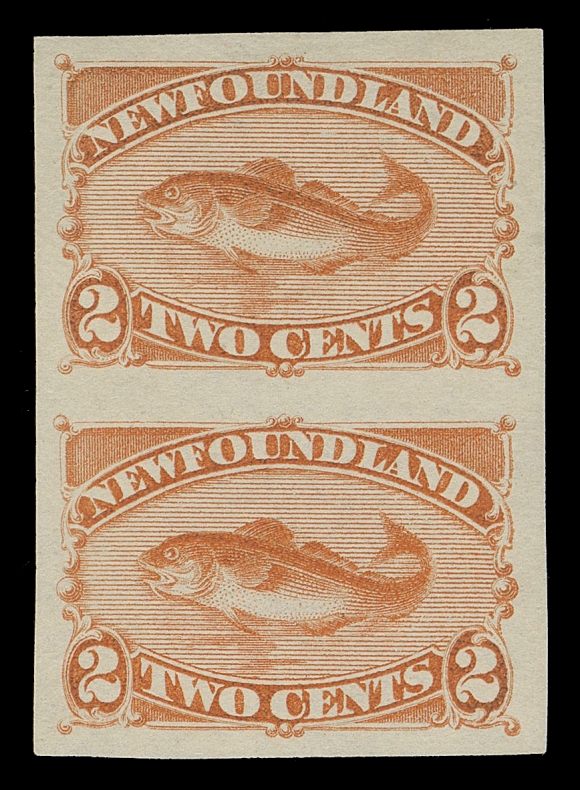 THE AFAB COLLECTION - NEWFOUNDLAND DECIMAL ISSUES  48a,Imperforate pair with large even margins all around, ungummed as normally seen, VF
