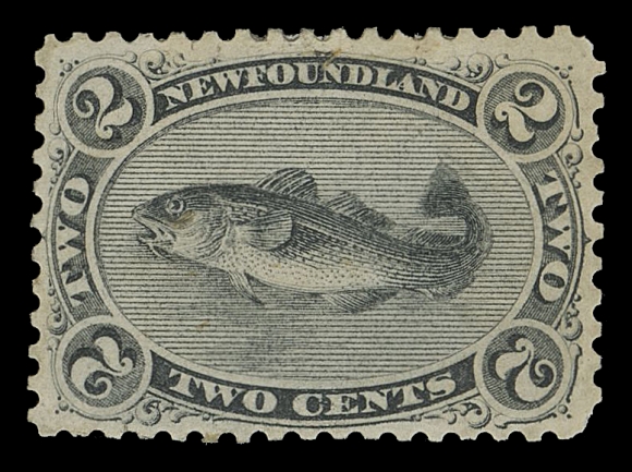 THE AFAB COLLECTION - NEWFOUNDLAND DECIMAL ISSUES  24,ABNC trade sample proof engraved in black on vertical mesh wove paper, gummed and perforated, very scarce thus, VF OG