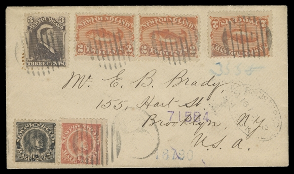 THE AFAB COLLECTION - NEWFOUNDLAND DECIMAL ISSUES  1896 (February 18) Cover bearing 2c red orange Codfish pair and single, 3c violet brown and ½c Newfoundland Dog in black and in orange red, tied by clear grid cancels, light oval Registered St. John