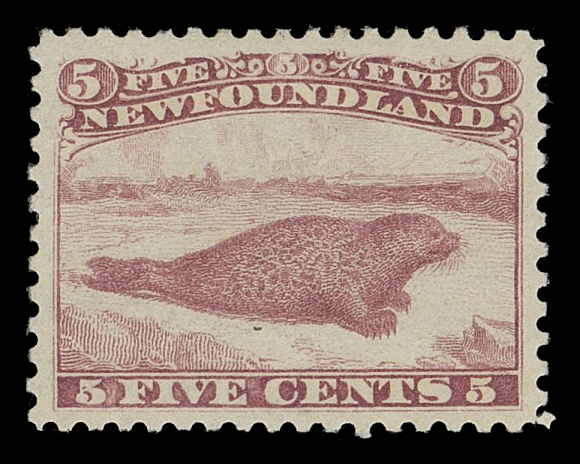 NEWFOUNDLAND -  2 CENTS  25,American Bank Note Co. trade sample proof, engraved, printed in rose red on vertical mesh wove paper, perforated and gummed, light gum thinning from previous hinge removal. A striking and very scarce perforated proof, VF OG