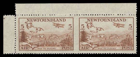 NEWFOUNDLAND  C13b,An elusive mint horizontal pair imperforate vertically between, well centered, backstamped "Sanabria" and "Kessler" airmail experts, VF NH
