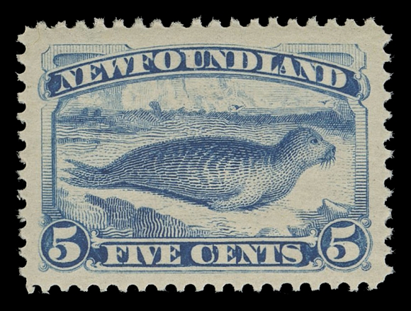 NEWFOUNDLAND -  2 CENTS  55,A post office fresh mint single, well centered with large margins, full unblemished original gum, XF NH