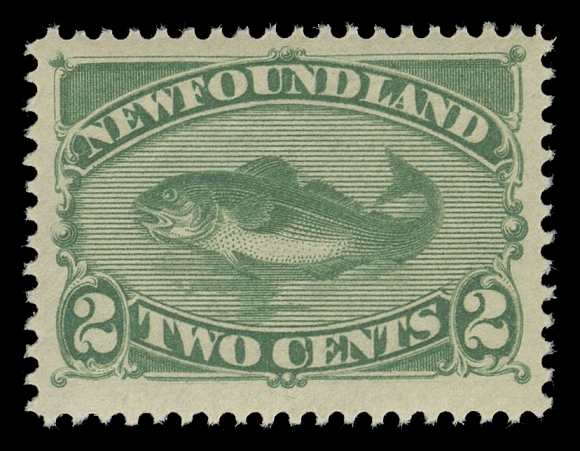 NEWFOUNDLAND -  2 CENTS  47,A post office fresh mint single, well centered within large margins, deep rich colour and full pristine original gum, VF+ NH