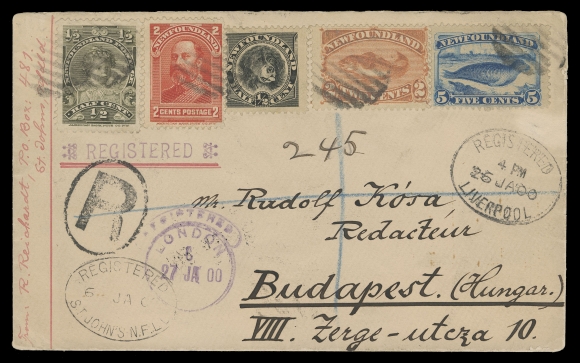 NEWFOUNDLAND -  2 CENTS  1900 (January 6) Five-colour franking cover mailed from Krippner to Budapest, Hungary, tied by light grid cancels, oval Registered St. John